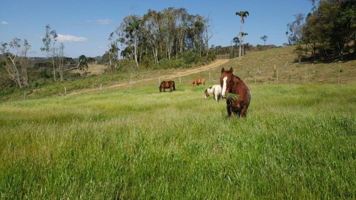 Rancho Sol Poente - Rancho Queimado - Sc Villa Buitenkant foto